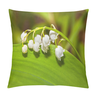 Personality  Lilies Flowers On Green Background Pillow Covers