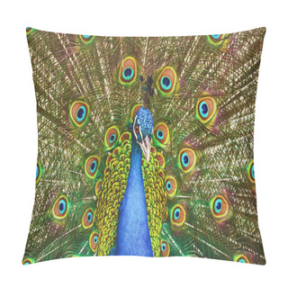 Personality  Portrait Of Peacock Pillow Covers