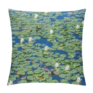 Personality  A Lot Of Lily Pads On A Lake. Pillow Covers
