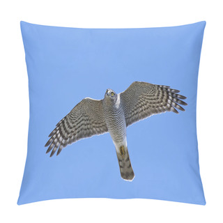 Personality  Eurasian Sparrowhawk (Accipiter Nisus) Pillow Covers
