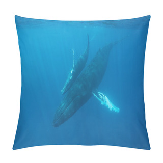 Personality  Mother And Calf Humpback Whales Pillow Covers