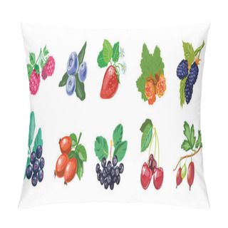 Personality  Berry Collection Hand Drawn Realistic Style, Berries Set Isolated On White Pillow Covers
