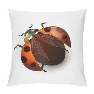 Personality  Vector Illustration Of A Ladybug Pillow Covers