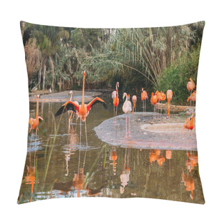 Personality  Flock Of Beautiful Flamingos In Pond Surrounded With Lush Plants In Zoo, Barcelona, Spain Pillow Covers