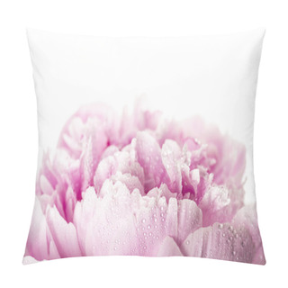 Personality  Pink Peony Flower Isolated On White Background Pillow Covers
