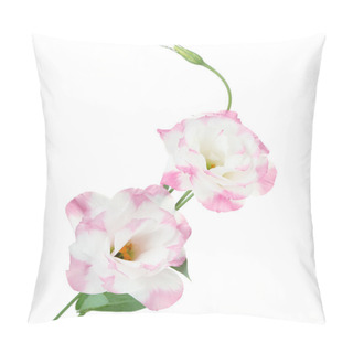 Personality  Beautiful Eustoma Flower Isolated On White Pillow Covers
