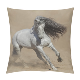 Personality  Light Gray Purebred Spanish Horse Playing On Sand. Pillow Covers