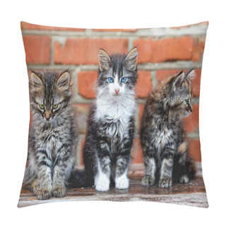 Personality  Three Kittens On Bricks Background Pillow Covers