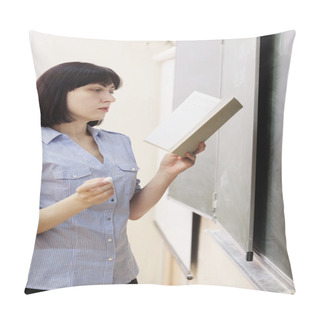 Personality  Woman Teacher  At  School Board Pillow Covers