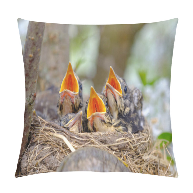 Personality  Bird Brood In Nest On Blooming Tree, Baby Birds, Nesting With Wide Open Orange Beaks Waiting For Feeding. Pillow Covers