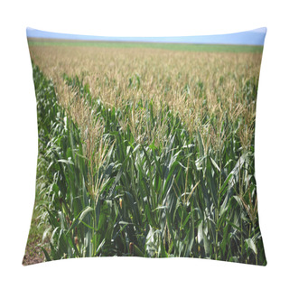 Personality  Green Corn Field Pillow Covers