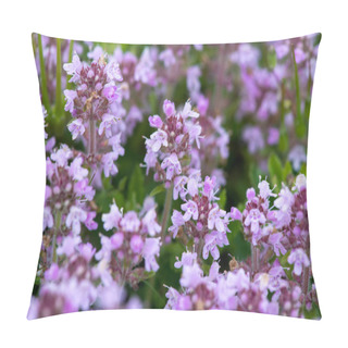 Personality  Closeup Of Wild Thyme - Selective Focus, Copy Space Pillow Covers