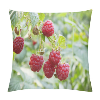 Personality  Bright Juicy Raspberries In The Summer Forest Pillow Covers