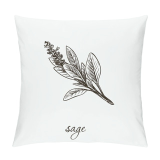 Personality  Sage. Natural Herbs. Sketch On Grey Pillow Covers