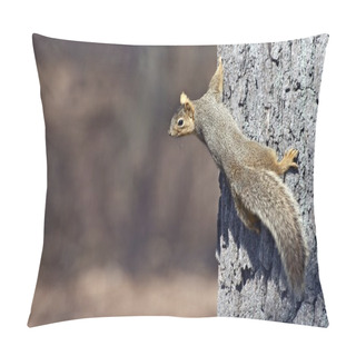Personality  Tree Squirrel Pillow Covers