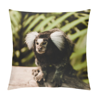 Personality  Selective Focus Of Cute Marmoset Monkey In Zoo Pillow Covers