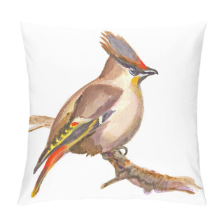 Personality  An Hand Painted Illustration On White - Bird, Boheian Waxwing Pillow Covers