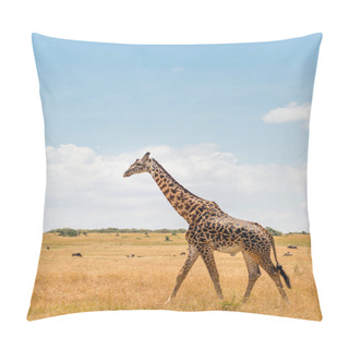 Personality  Giraffe In African Savannah, At Masai Mara , Kenia Pillow Covers