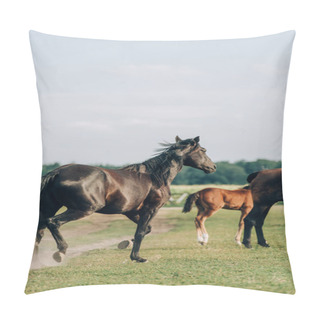 Personality  Brown Horses With Colt Grazing On Grassland Against Sky Pillow Covers