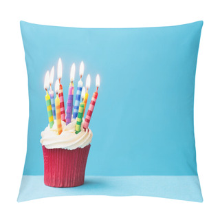 Personality  Birthday Cupcake  Pillow Covers