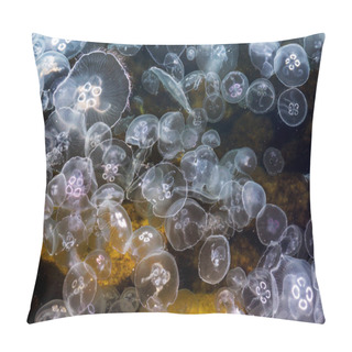Personality  Congestion Millions Of Jellyfish Floating In The Sea Lagoon As A Pillow Covers