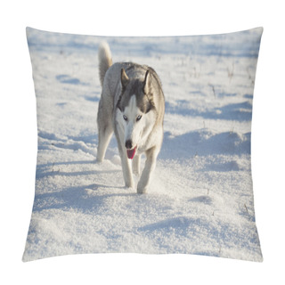 Personality  Siberian Husky In Snow Pillow Covers