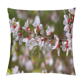Personality  Prunus Tomentosa Pillow Covers