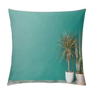 Personality  Two Plants In Pots On Dusty Table On Green Background Pillow Covers