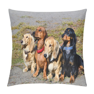 Personality  Dachshund Family. Pillow Covers