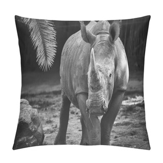 Personality  Black And White Rhino Pillow Covers
