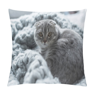 Personality  Cat On Wool Blanket Pillow Covers