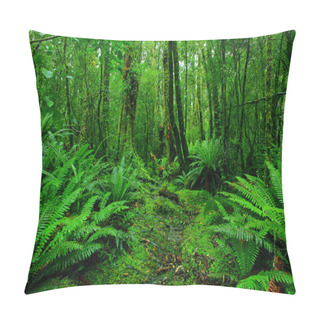 Personality  Rainforest Path Pillow Covers