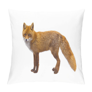 Personality  Fox Pillow Covers
