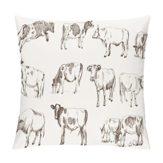 Personality  Cow. Animal Husbandry Pillow Covers
