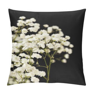 Personality  Baby Breath Isolated  Pillow Covers