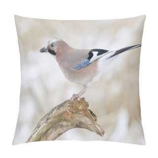 Personality  Eurasian Jay Sitting On Branch, Selective Focus Pillow Covers