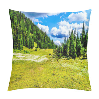 Personality  Hiking Through Alpine Meadows Covered In Wildflowers In The High Alpine Near The Village Of Sun Peaks Pillow Covers