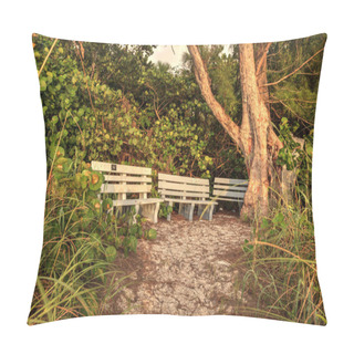 Personality  Wood Bench Overlooks White Sand Path Leading Toward Delnor Wiggins State Park At Sunset In Naples, Florida. Pillow Covers