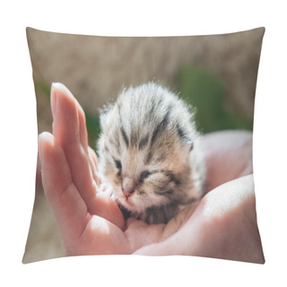 Personality  Newborn Kitten Of The British Breed.On The Hand Pillow Covers