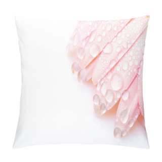 Personality  Pink Wet Petals Of Gerbera Pillow Covers