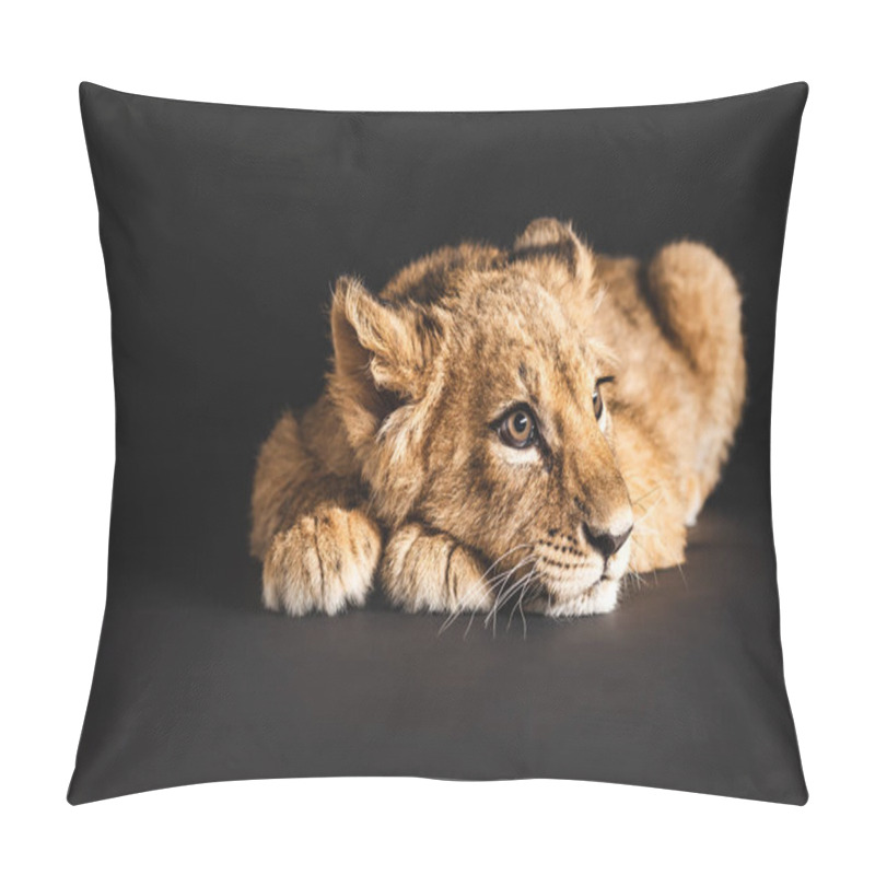 Personality  Adorable Lion Cub Lying Isolated On Black Pillow Covers