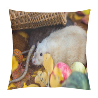 Personality  The White Rat Is The Symbol Of 2020. Decorative Hand Kind Cute Rat Pillow Covers