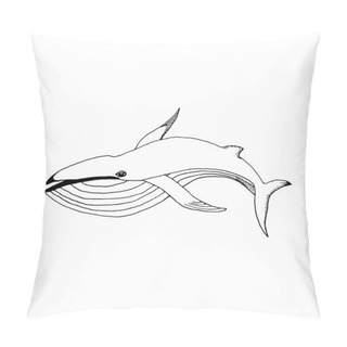 Personality  Hand Draw A Whale Pillow Covers