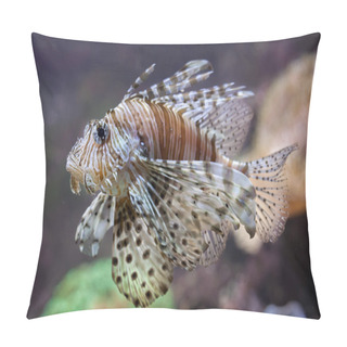 Personality  Red Lionfish (Pterois Volitans). Pillow Covers