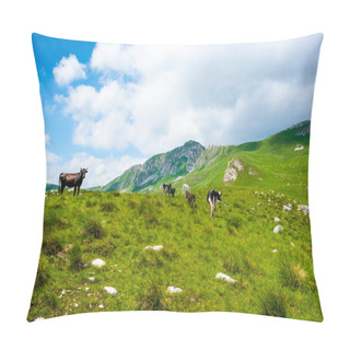 Personality Cows Grazing On Green Valley In Durmitor Massif, Montenegro Pillow Covers