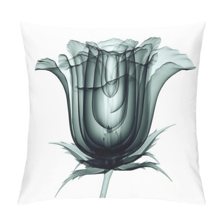 Personality  X-ray Image Of A Flower Isolated On White , The Rose Pillow Covers