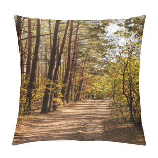 Personality  Scenic Autumnal Forest With Wooden Trunks And Path In Sunlight Pillow Covers