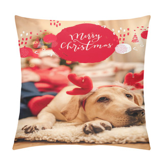 Personality  Dog With Christmas Reindeer Antlers Pillow Covers