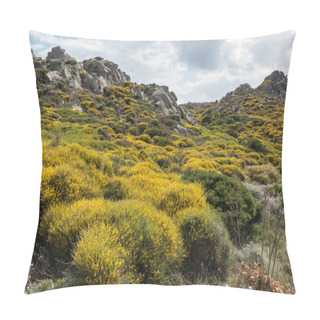 Personality  Mediterranean Maquis Flowering In Sardinia Pillow Covers