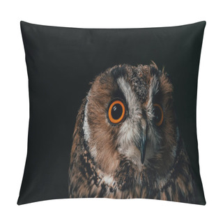 Personality  Cute Wild Owl Muzzle Isolated On Black With Copy Space Pillow Covers